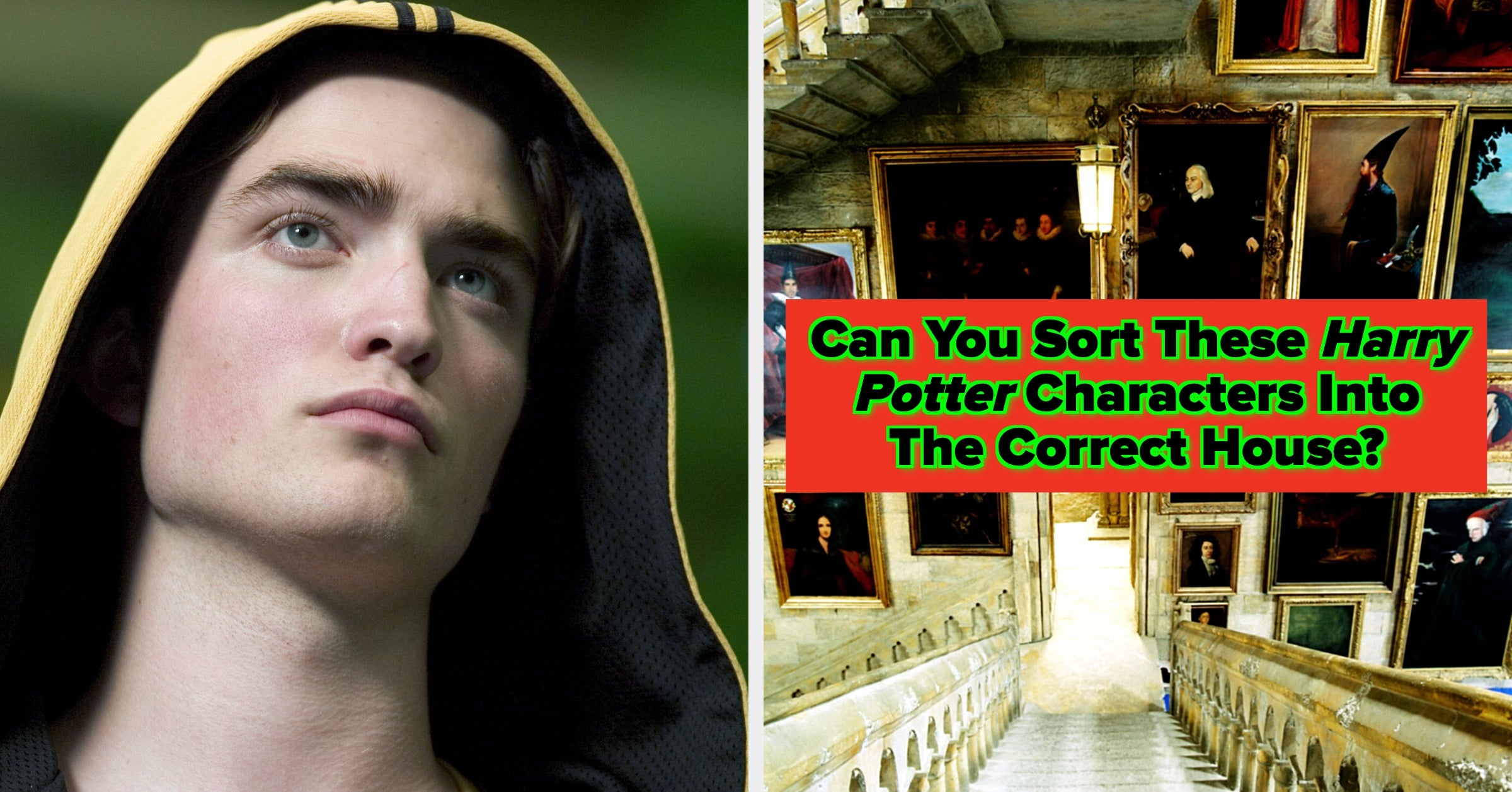 Can You Sort These "Harry Potter" Characters Into The Correct House?