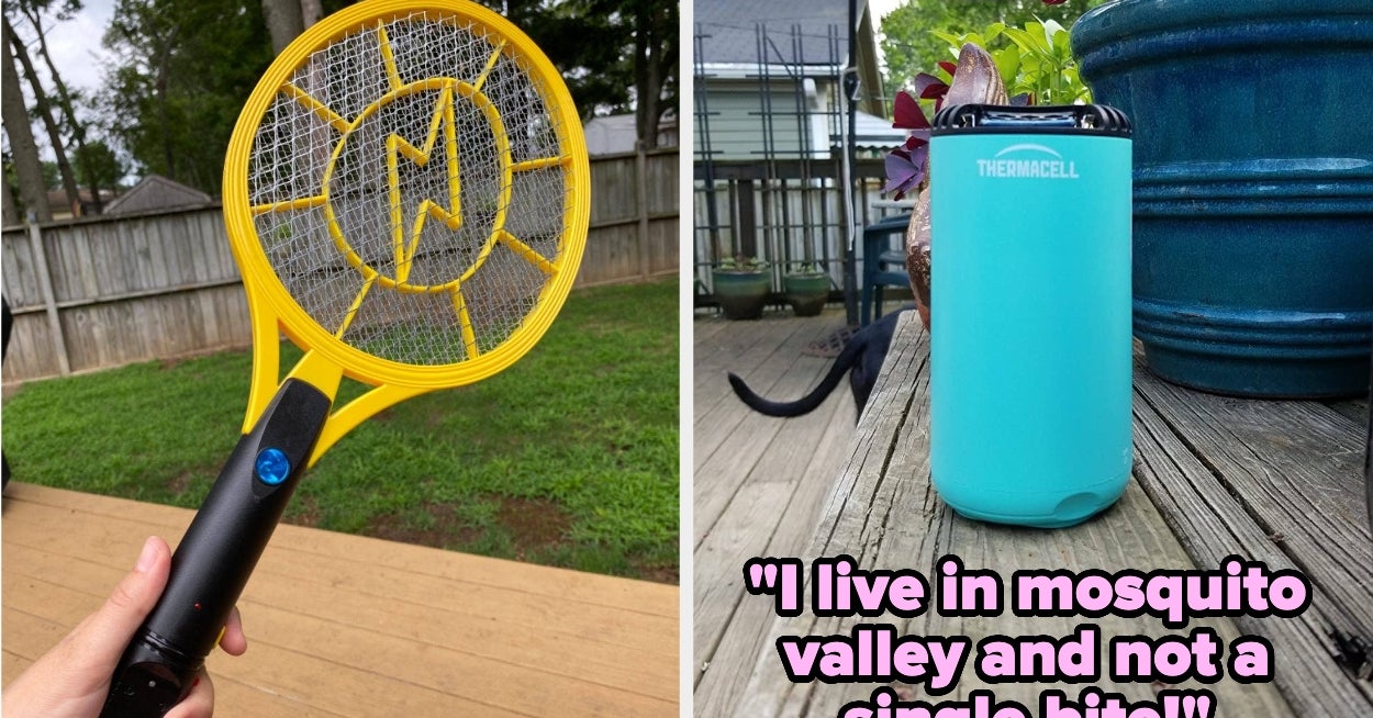 Bugs In The Summer Are, Unfortunately, A Guarantee
