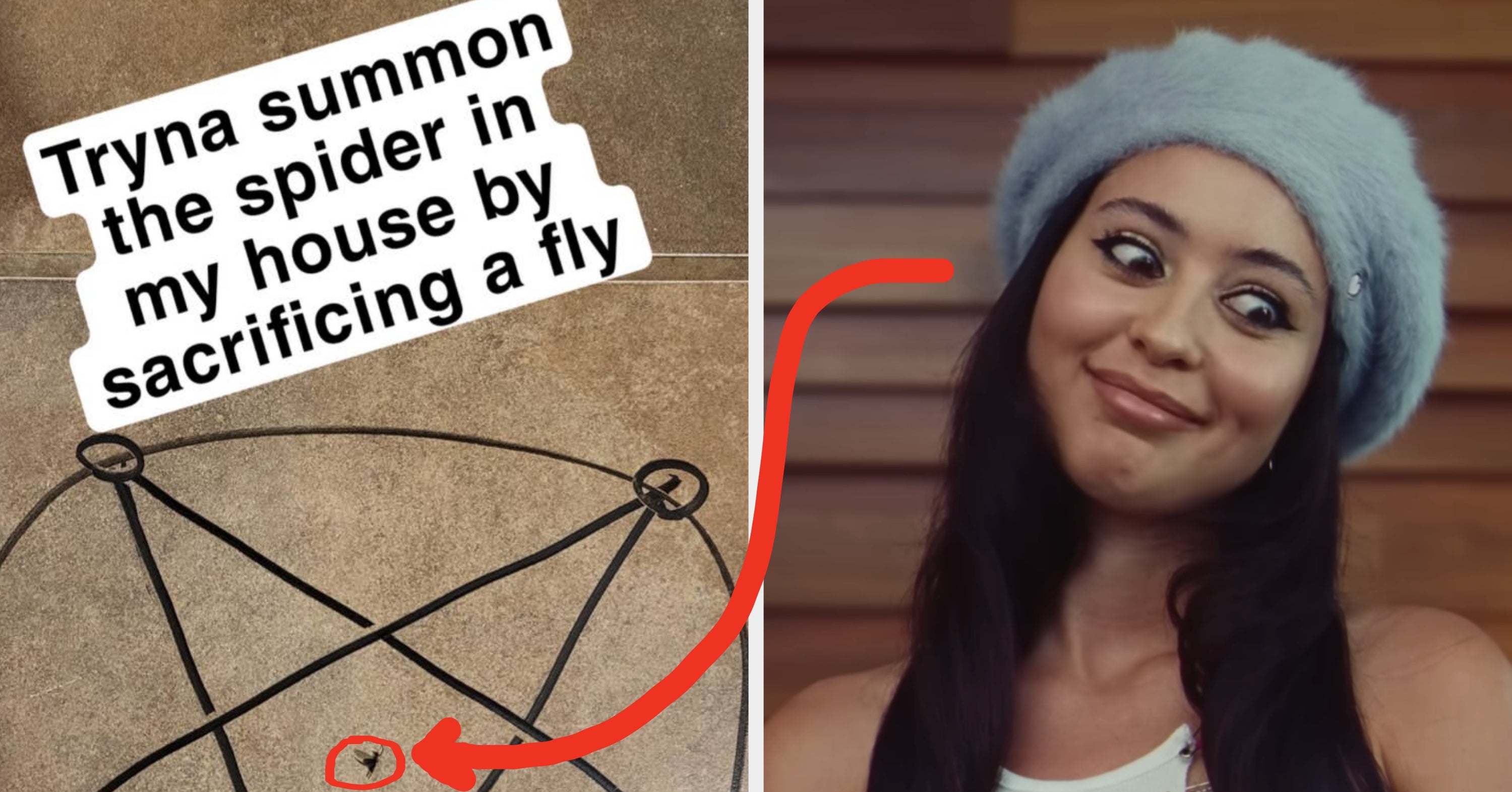 63 Random, Dumb Pictures That Make Me Laugh Agains