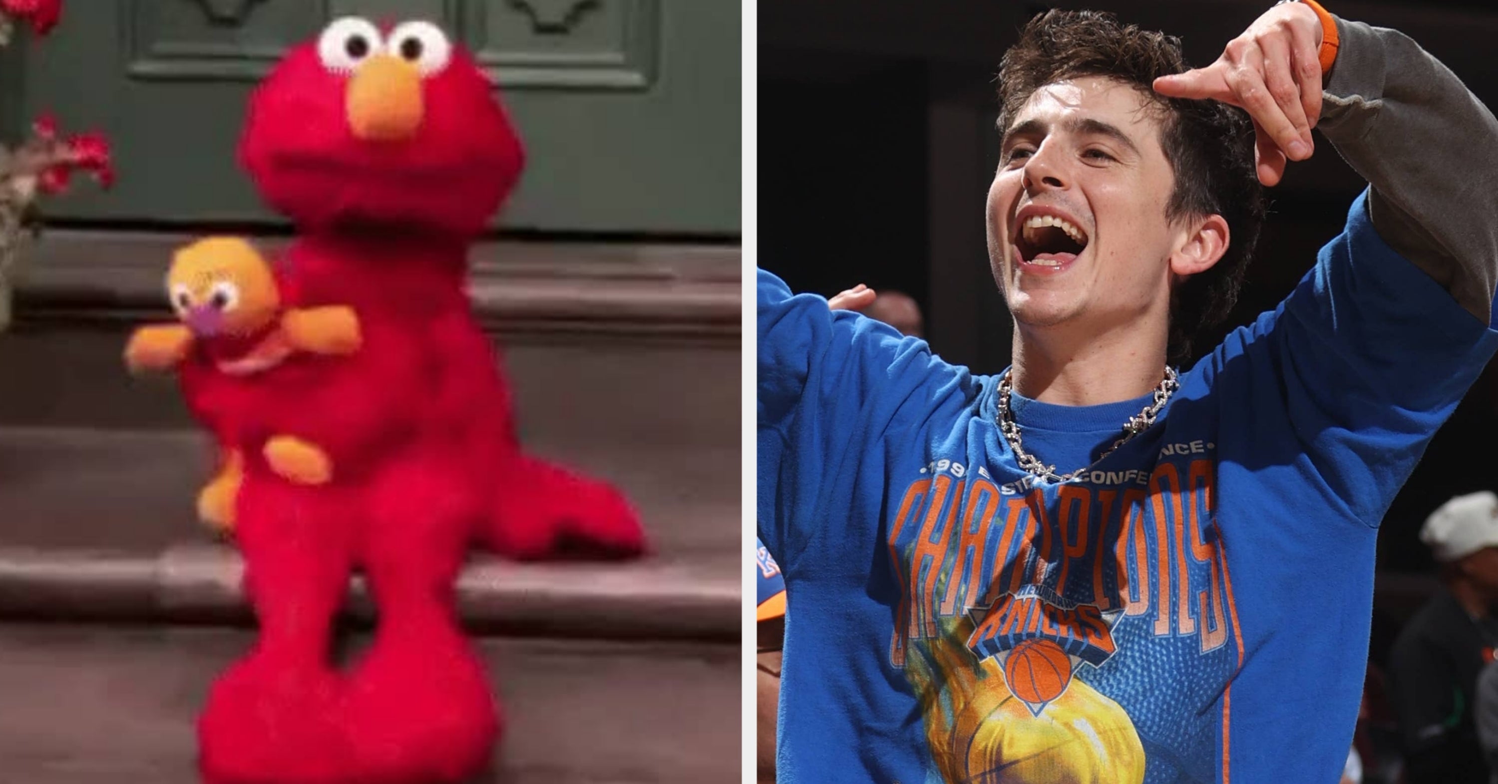 Elmo's NBA Finals Tweet Went Viral As Grown Adults Schooled Him On The Rules Of Being A Knicks Fan, And I'm Literally Hollering