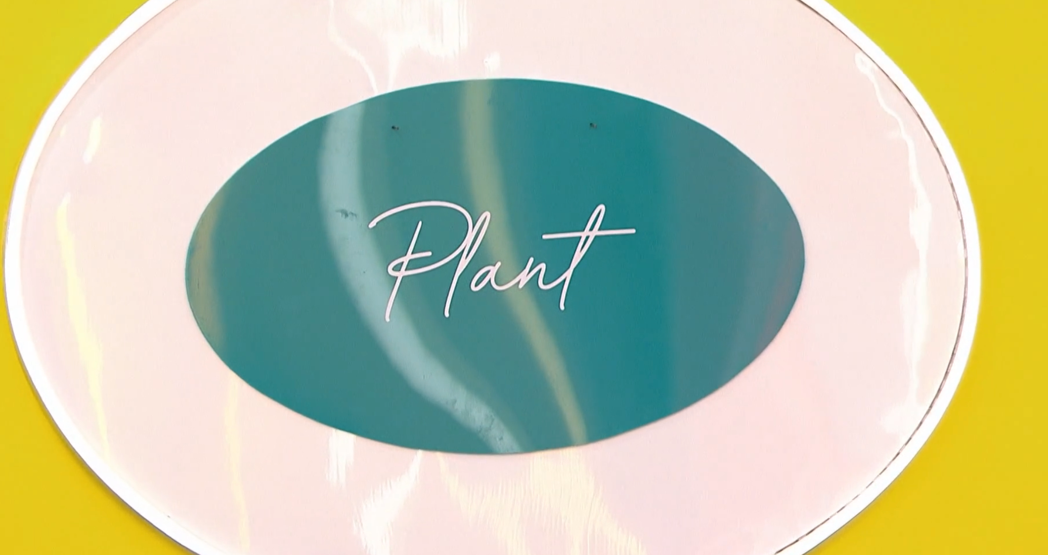 Oval motion   with the connection     "Plant" successful  cursive connected  a teal background