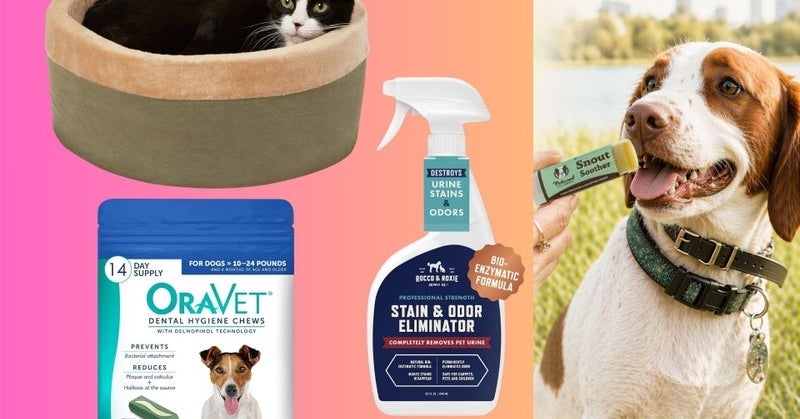 16 Supplies To Make Life With Senior Pets Easier — For Both Of You