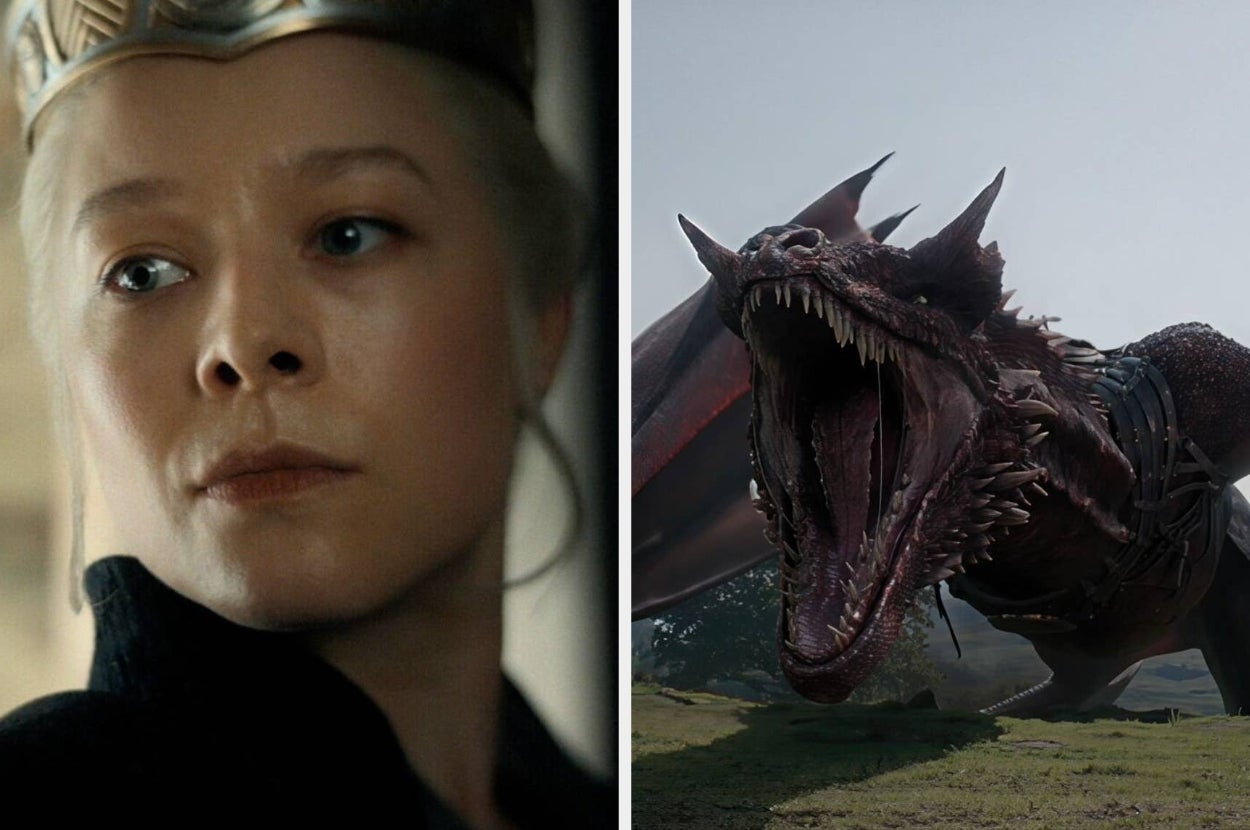 A person in medieval attire and a crown is shown next to a roaring dragon in a fantasy setting