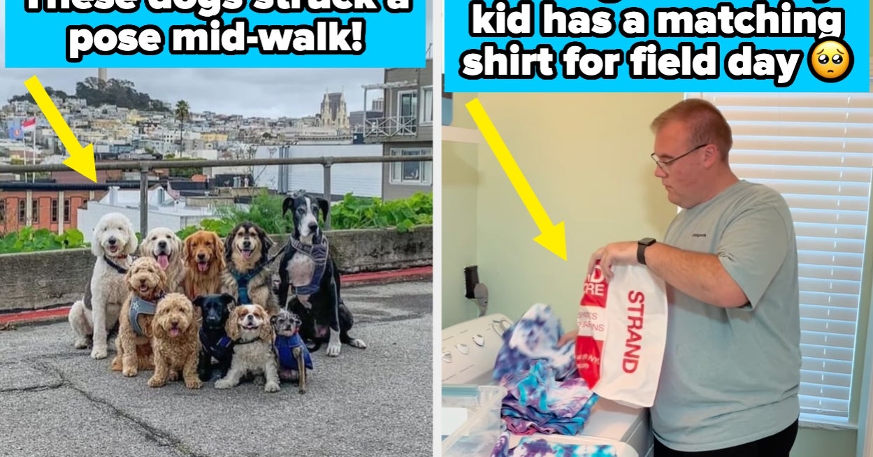 24 Wholesome Internet Posts That Cut Through The D