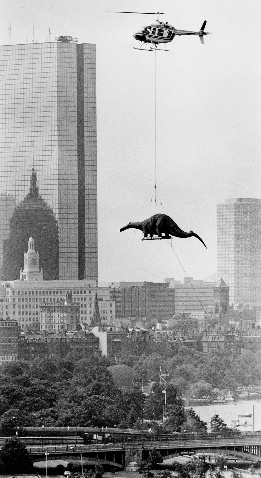 Helicopter transports a large dinosaur sculpture over a cityscape with tall buildings in the background