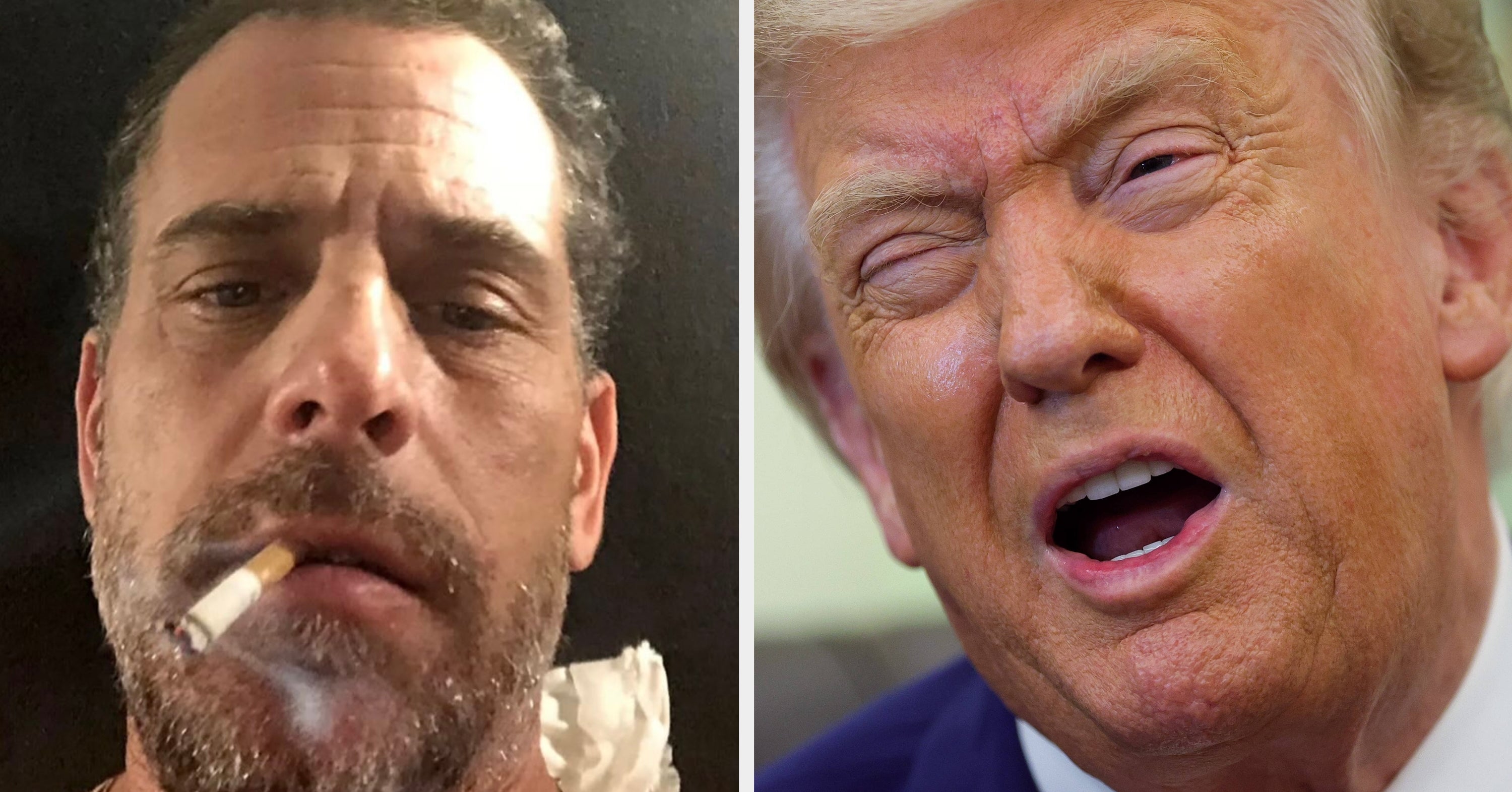 Hunter Biden Just Went Viral For What He Said About Donald Trump