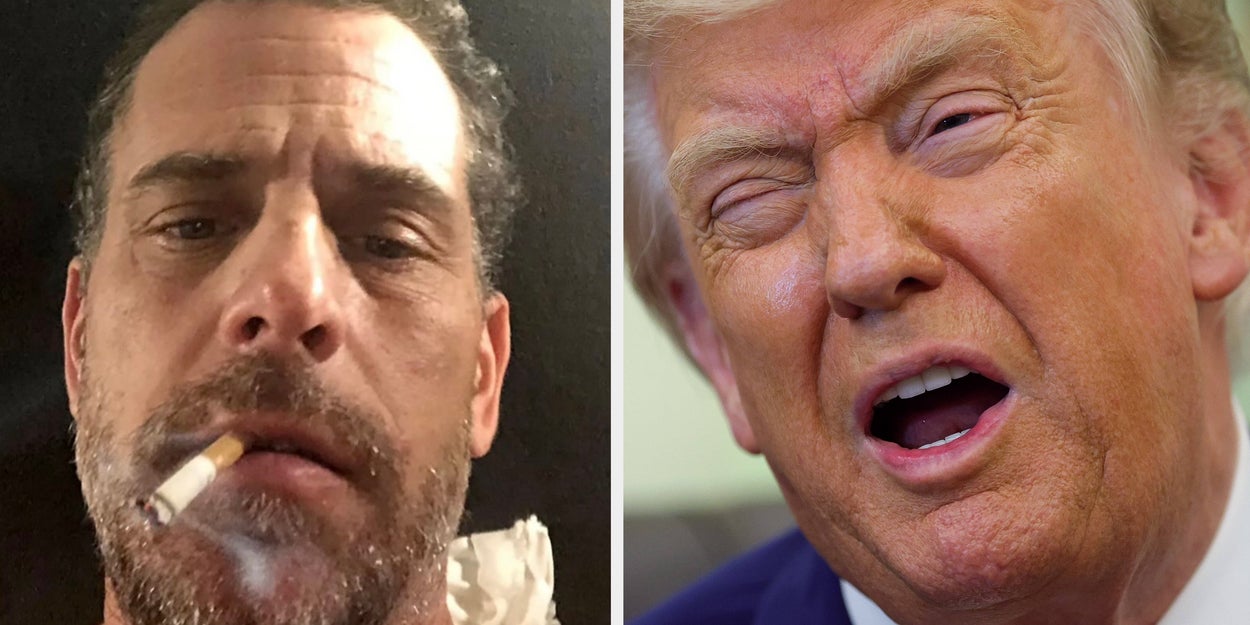 Hunter Biden Completely Roasted Donald Trump On X