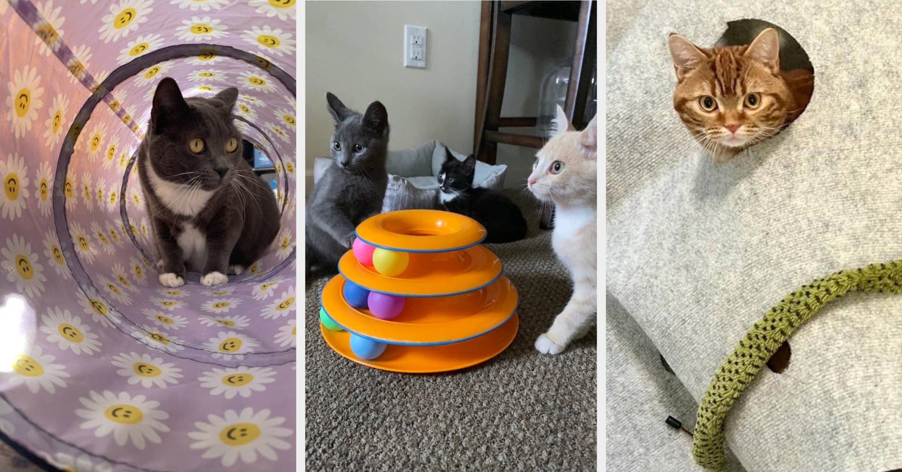 Just 32 Fun Products Your Cat Called And Told Me They’d Like