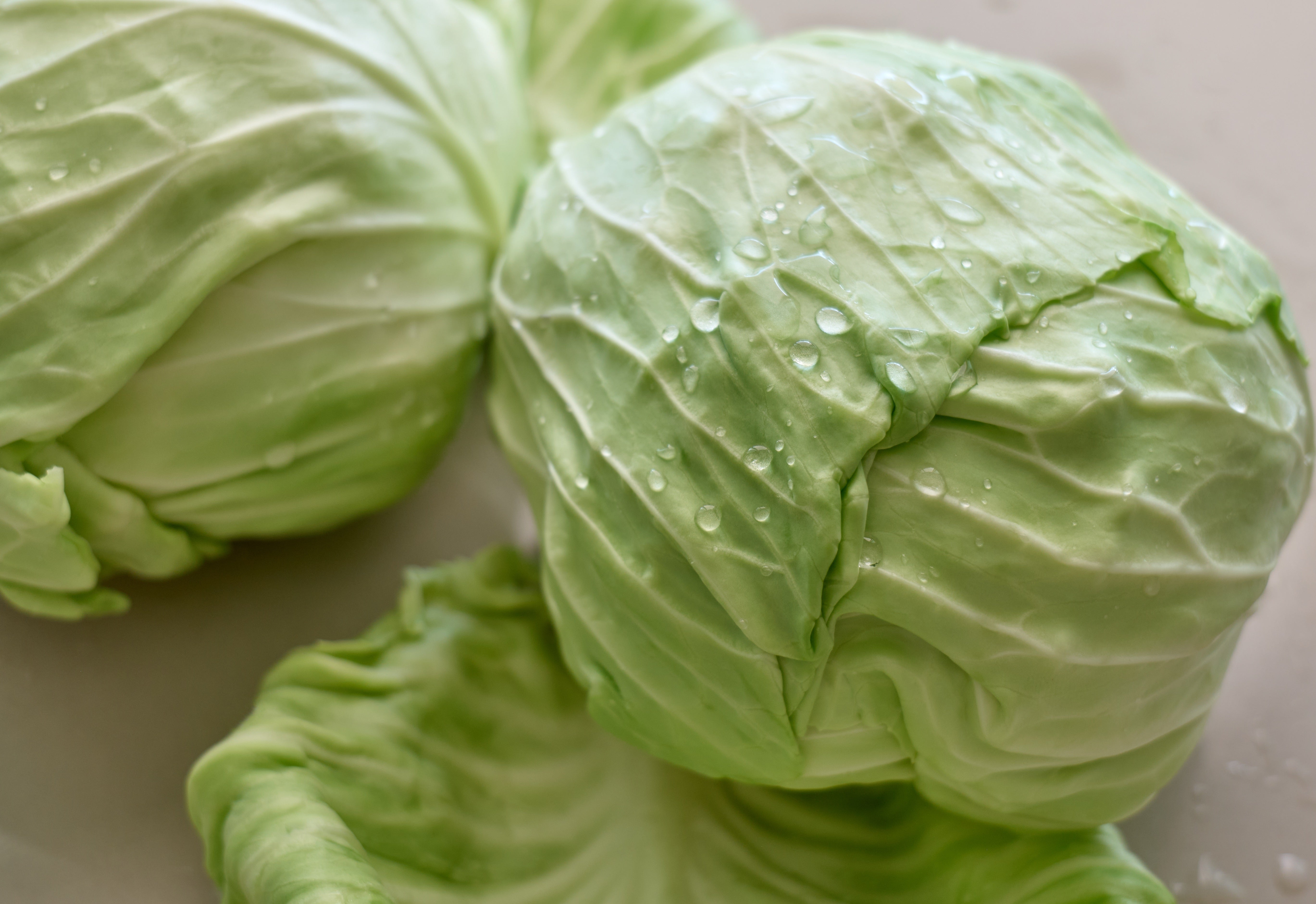 Fresh cabbage with h2o  drops connected  it