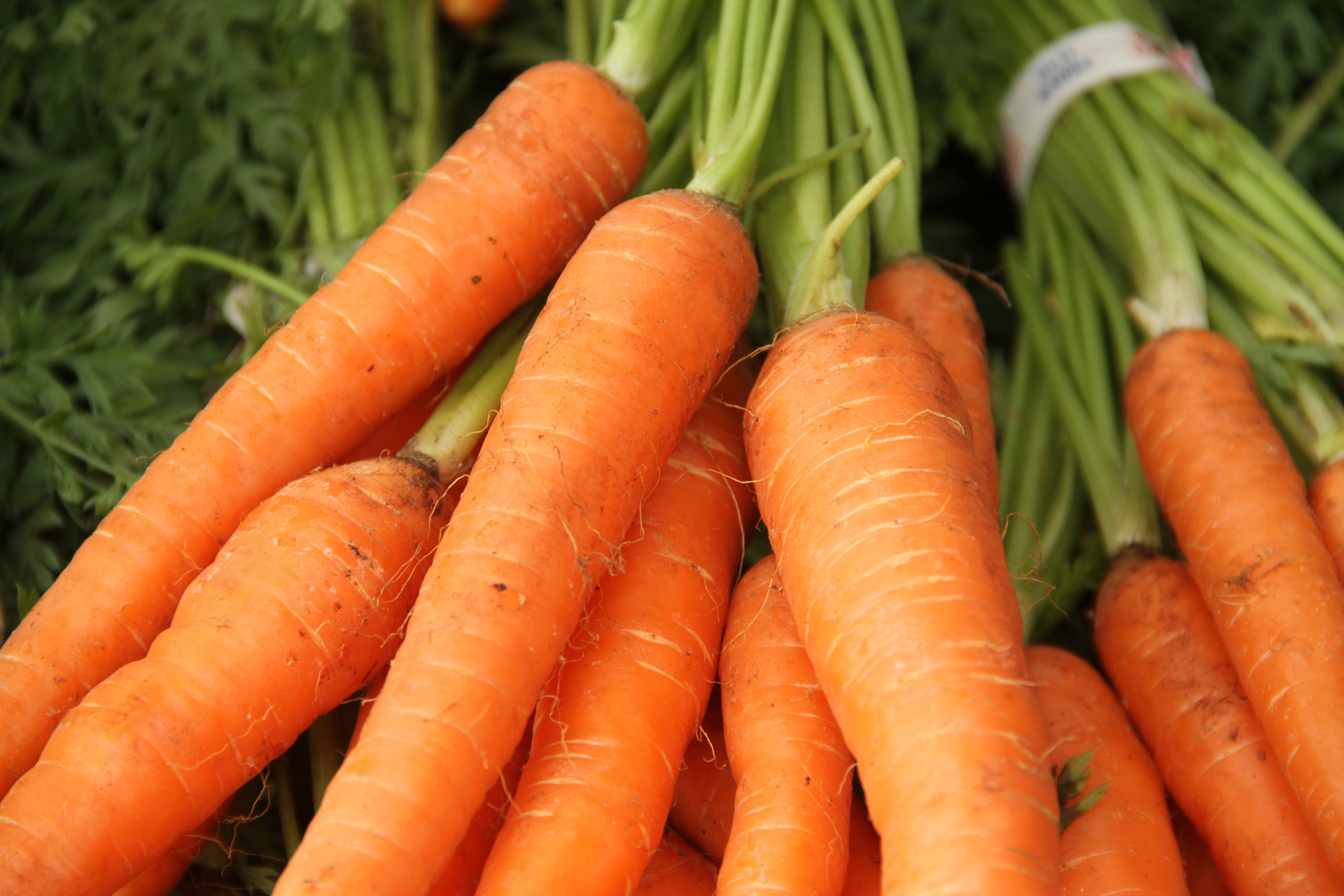 A heap  of caller  carrots with greenish  stems attached, intimately  packed together