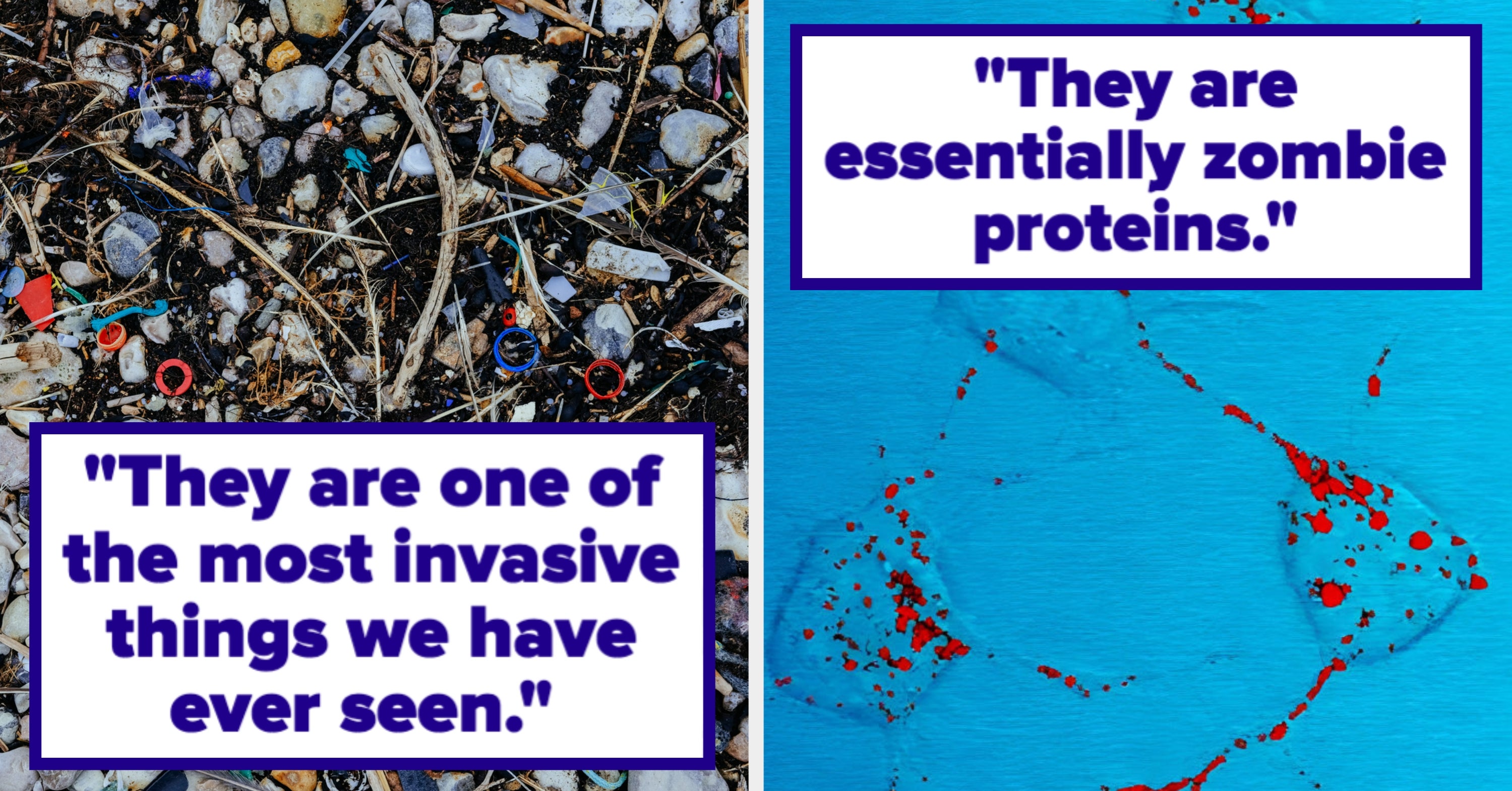 People Are Revealing The 20 Most Terrifying Scientific Facts