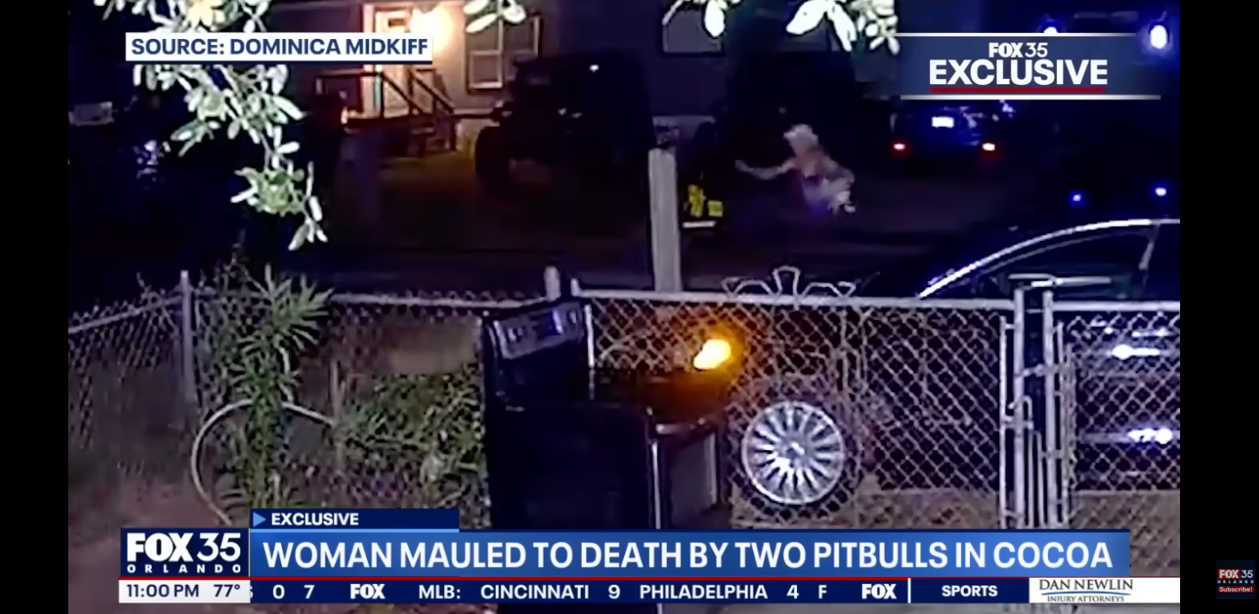 "Woman mauled to decease by 2 pitbulls successful Cocoa," aired by Fox 35 with exclusive footage