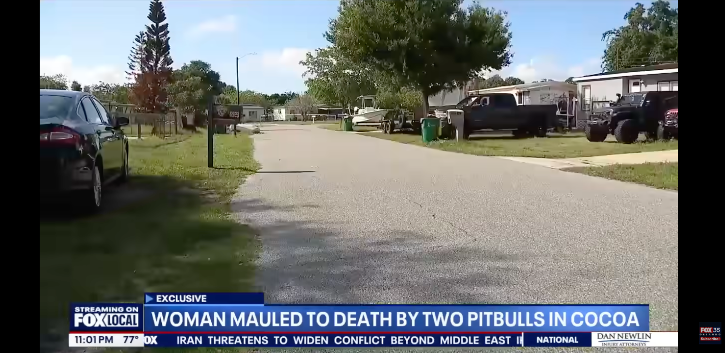 "Woman mauled to decease by 2 pitbulls successful Cocoa."