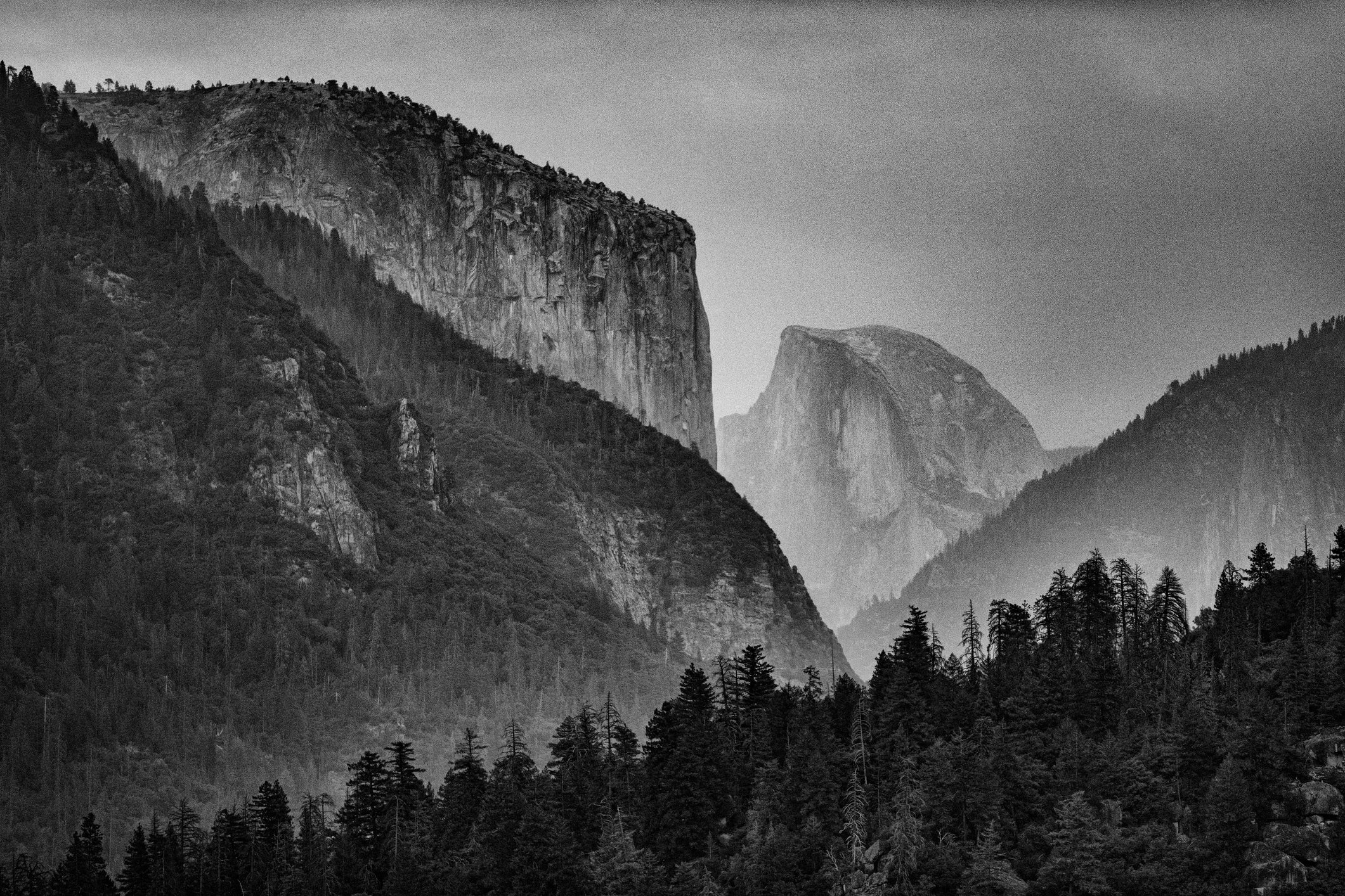 Black and achromatic photograph of Yosemite Valley, showcasing towering cliffs and dense wood nether an overcast sky