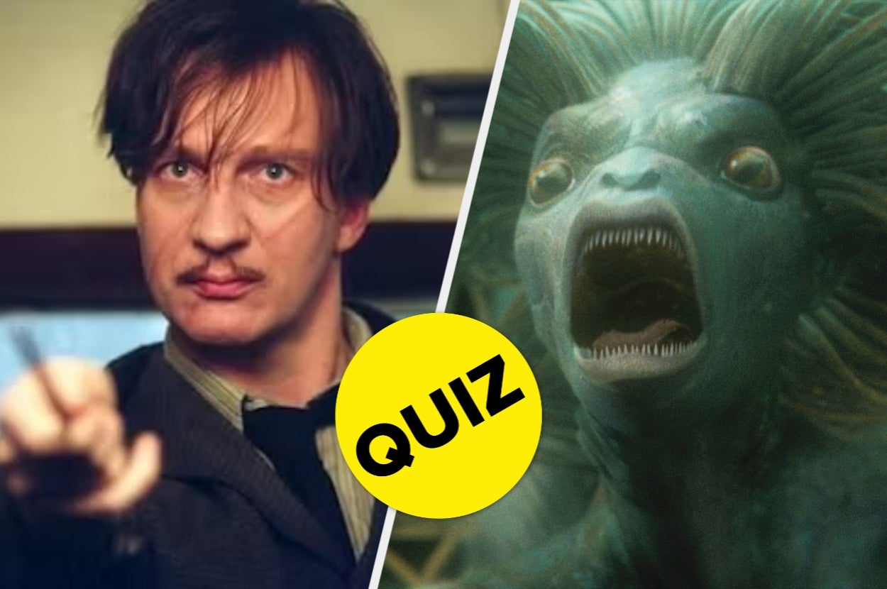 Here Are 17 Random “Harry Potter” Questions, Real Fans Should Fly Through This