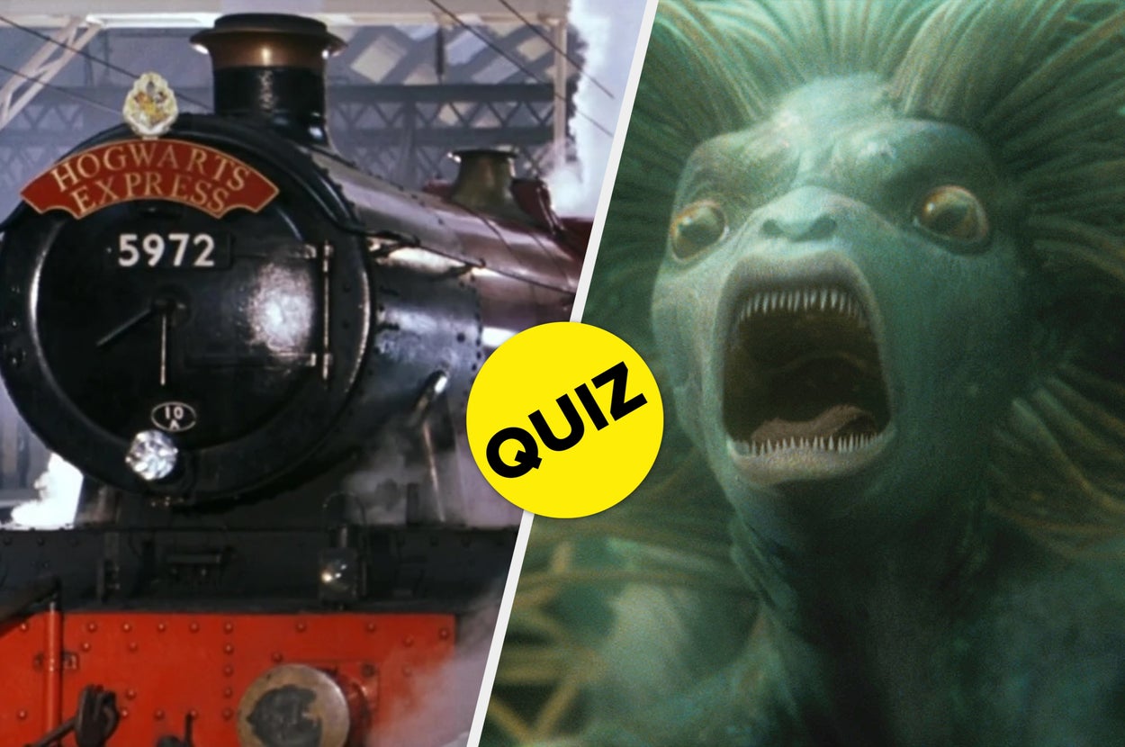 Here Are 17 Random "Harry Potter" Questions, Real Fans Should Fly Through This