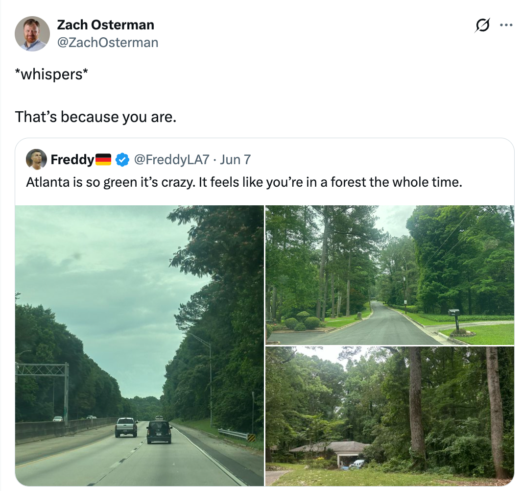A tweeted station showing lush, greenish roads successful Atlanta with a remark astir its abundant greenery, shared with a humorous susurration comment