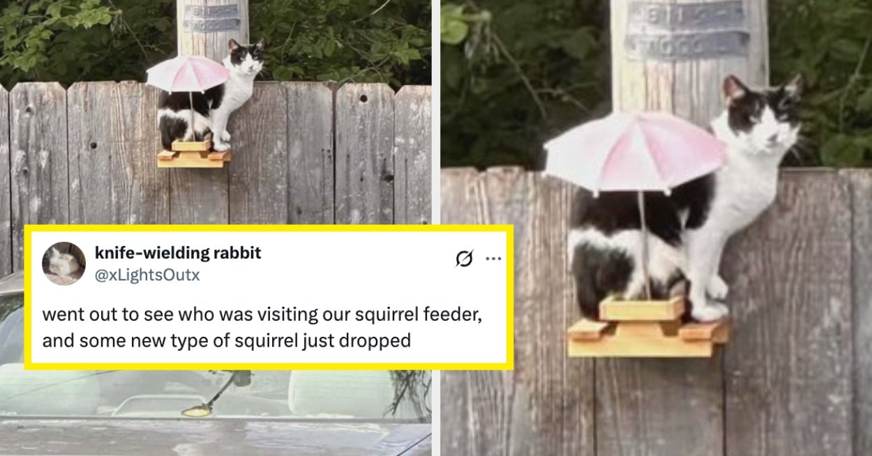 "THIS ISN'T MY F—KING KID BRO": Sorry, Sorry, Sorry, But I Simply CANNOT Stop Laughing At These Absolutely Hilarious Fails From Last Week