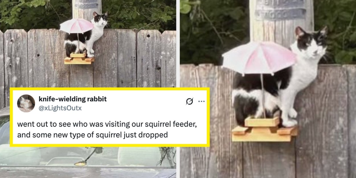 37 Hilarious Internet Fails From Last Week