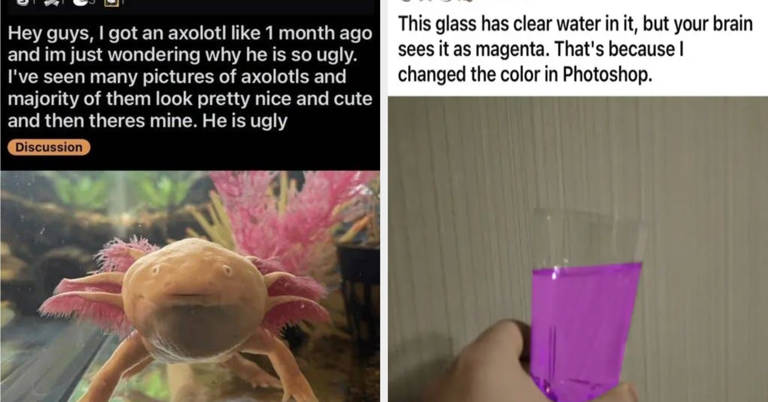 35 Absolutely Unhinged And Hilarious Things People Have Actu