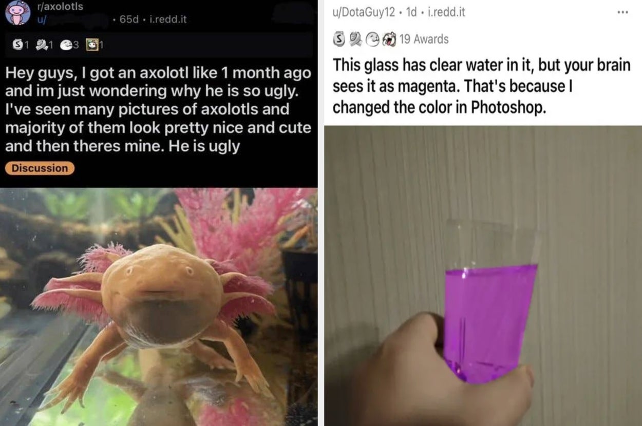 35 Hilarious Internet Posts That'll Haunt You Forever