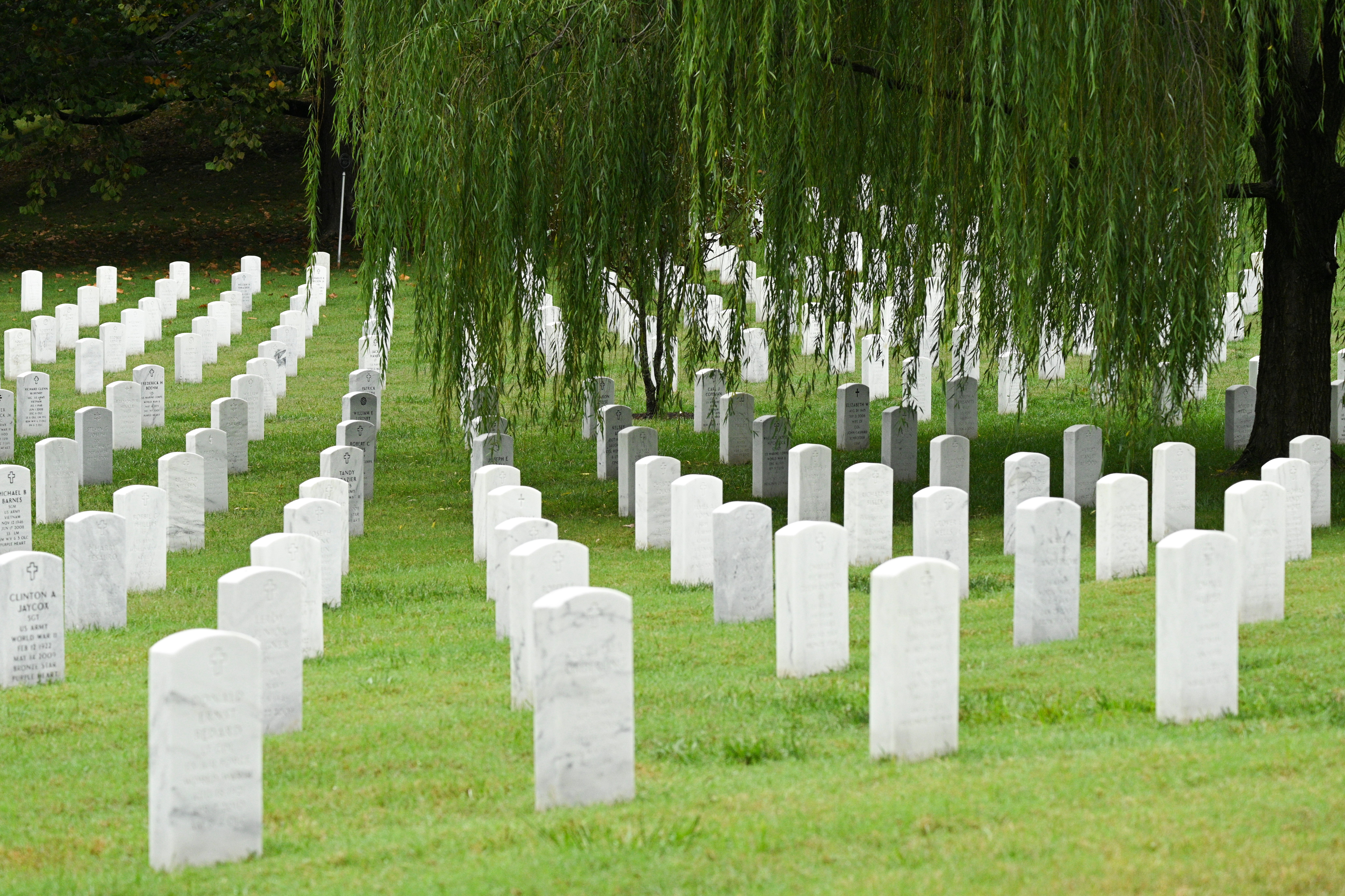 A serene cemetery with rows of achromatic headstones nether a weeping willow tree