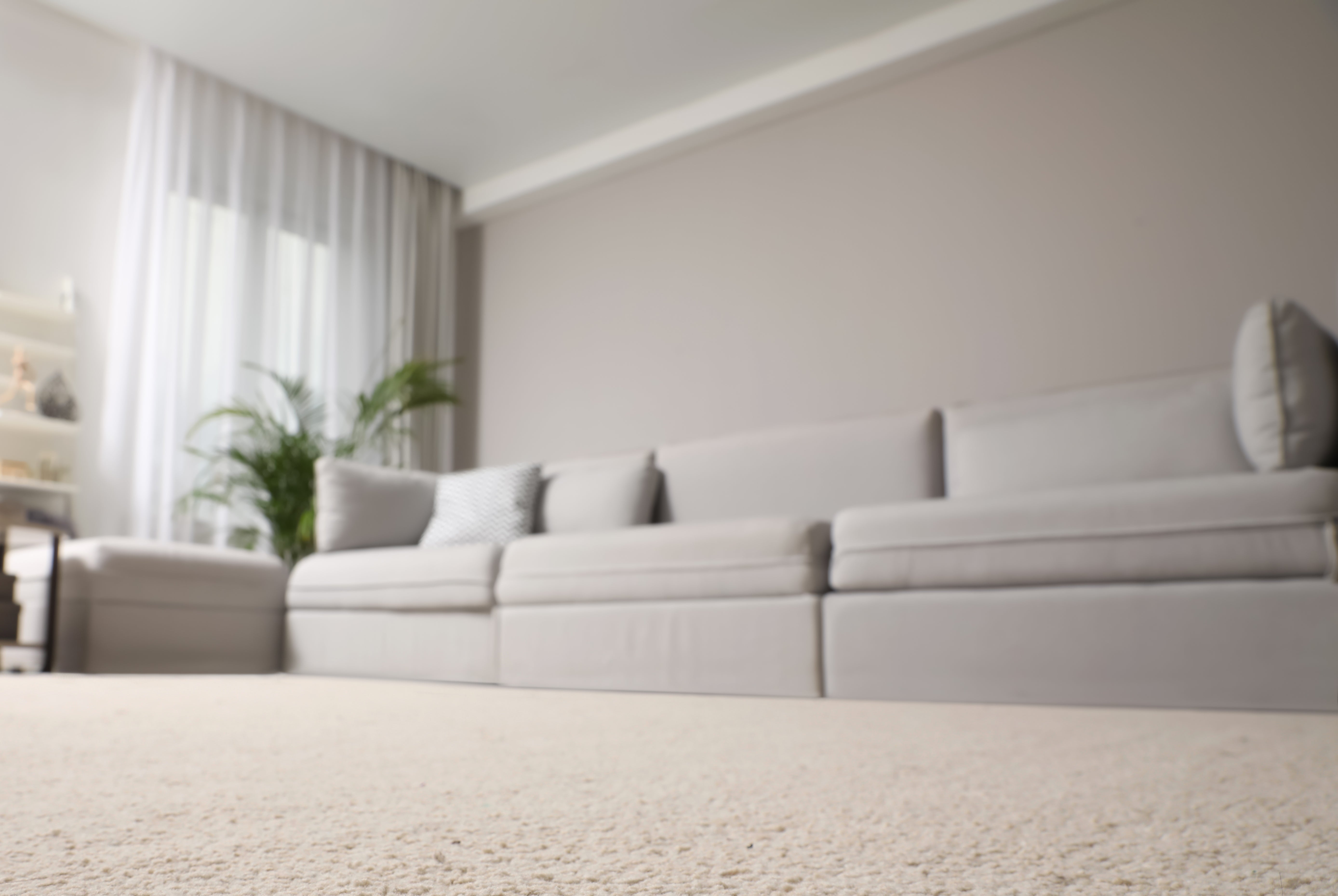 Spacious surviving country with a large, brushed rug, a modern airy grey sectional sofa, and a tiny broadside array with decorative items, nether earthy light