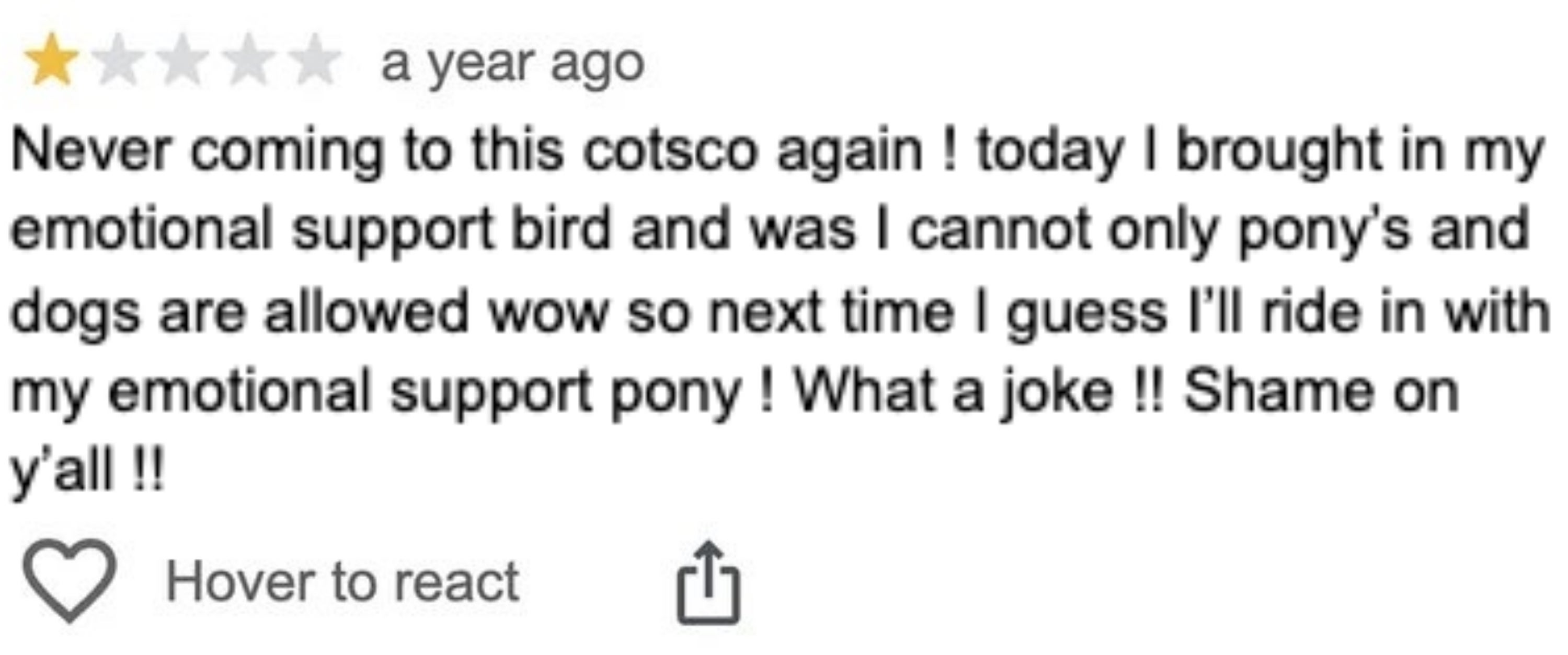 A humorous reappraisal  astir  trying to bring an affectional  enactment    vertebrate  to Costco, wherever  lone  ponies and dogs are allowed