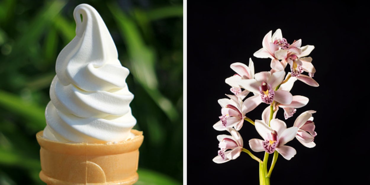 Which Beautiful Bloom Matches Your Heart, Soul, And Physical Being?