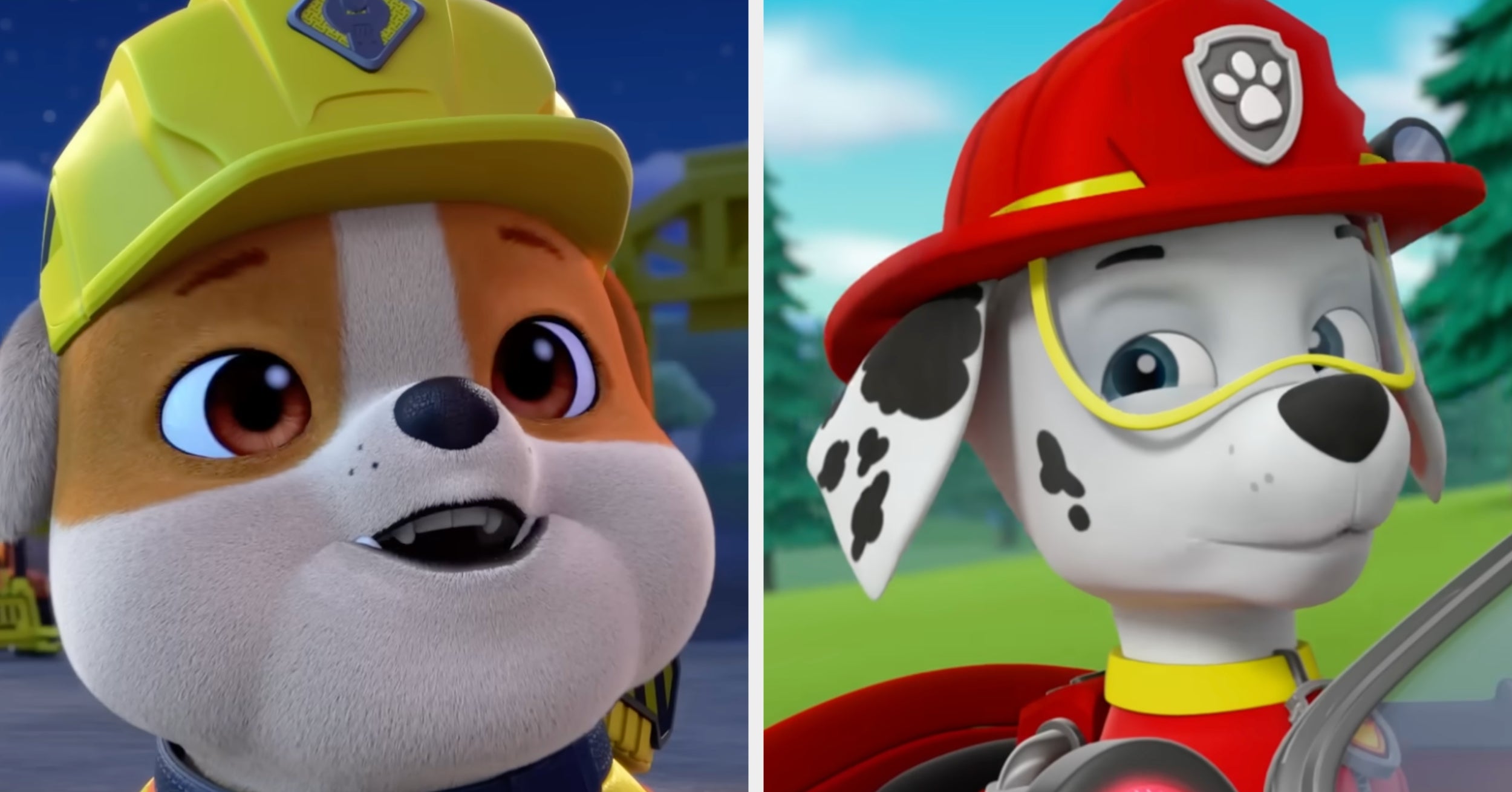 We Know Which "Paw Patrol" Pup You Are Based On These 8 Questions