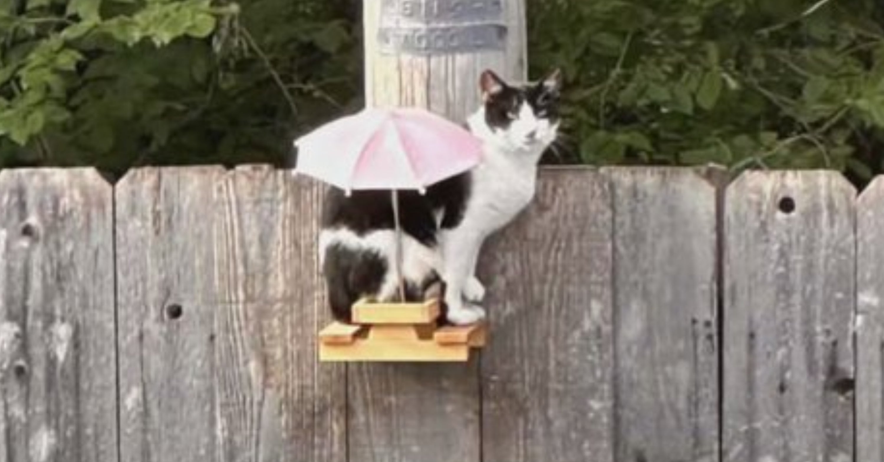 37 Hilarious Internet Fails From Last Week