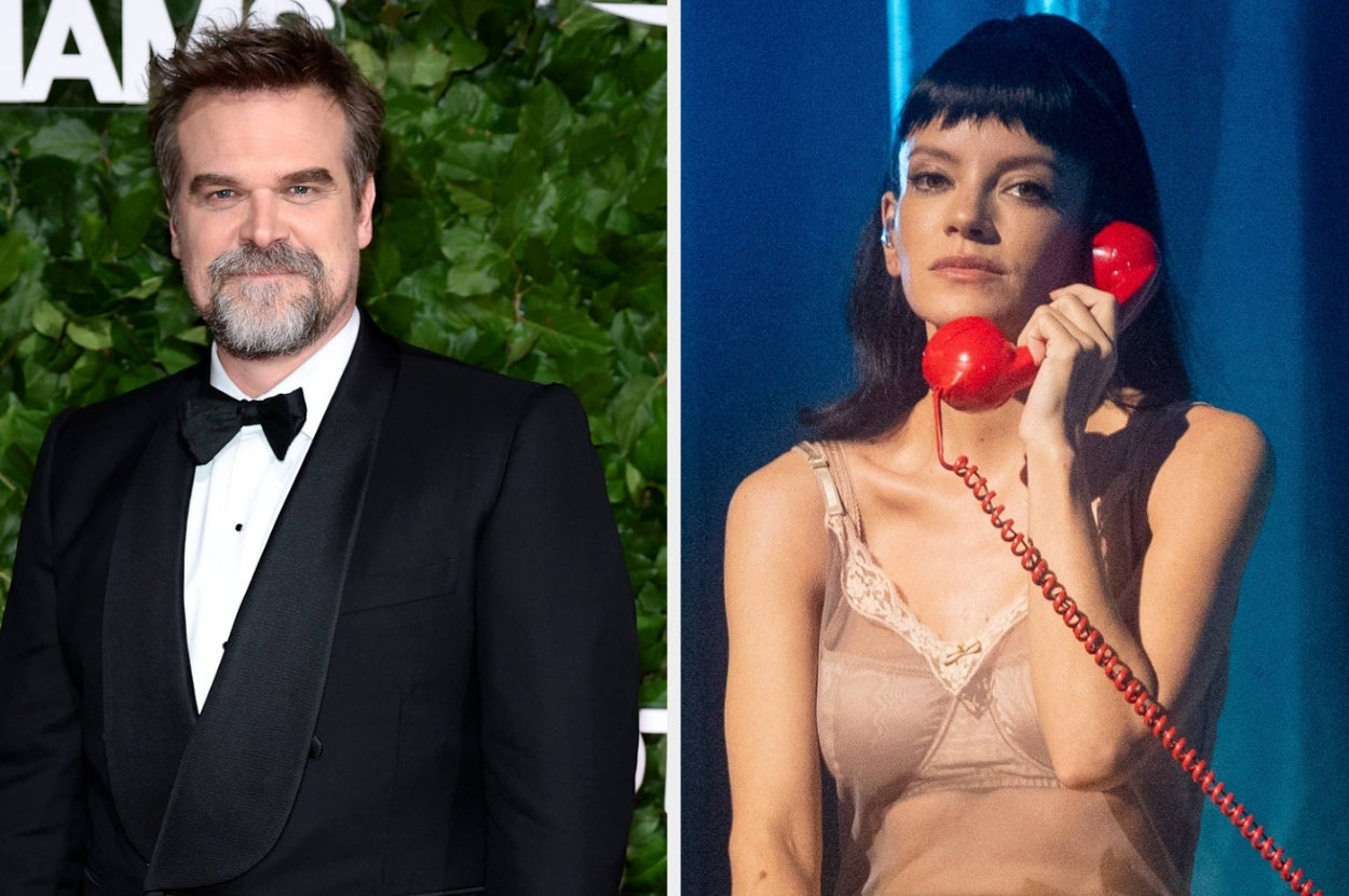 David Harbour Addressed Lily Allen's Explosive "We