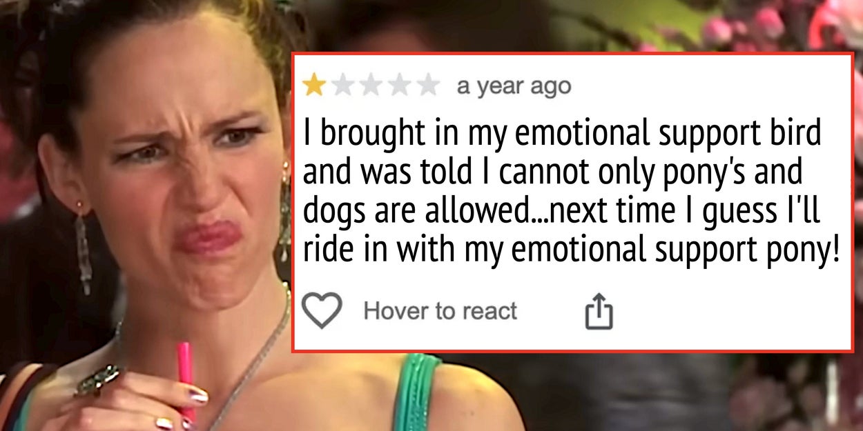 26 Entitled Customer Reviews
