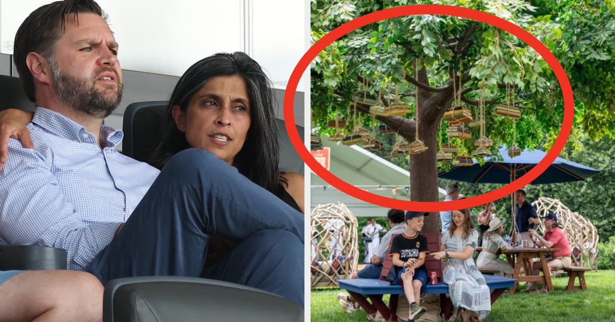 There's One Bizarre Detail From Usha Vance's Summe