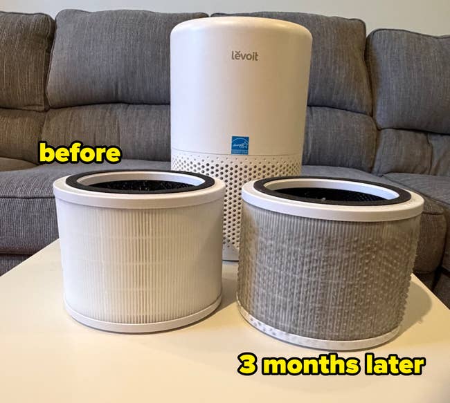 Air purifier connected a array with 2 replacement filters, 1 cleanable and 1 used, successful a surviving country setting