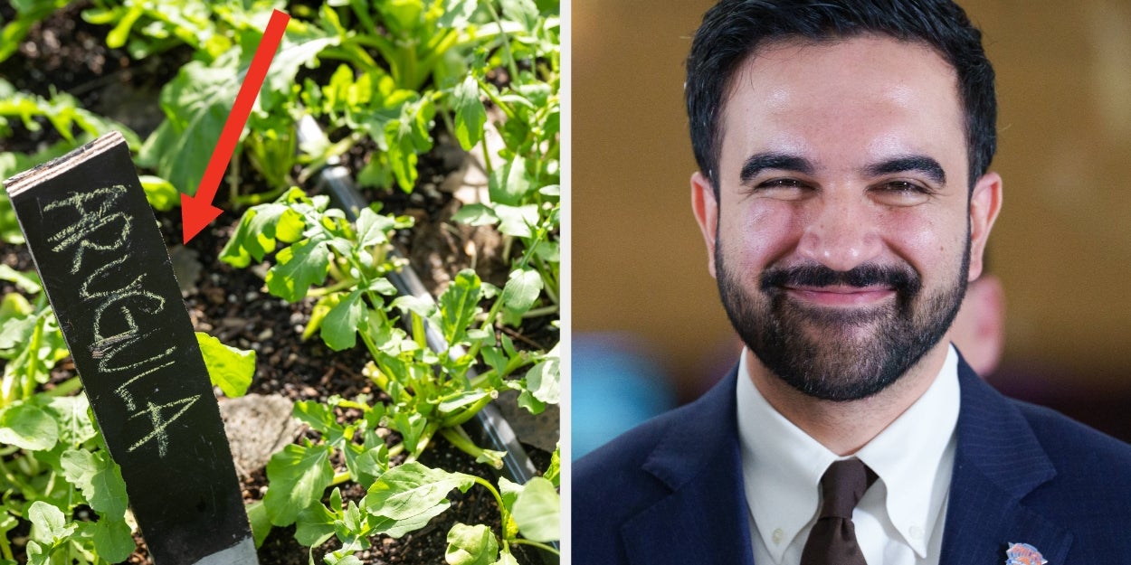 32 Unqualified People Who Should Run For President