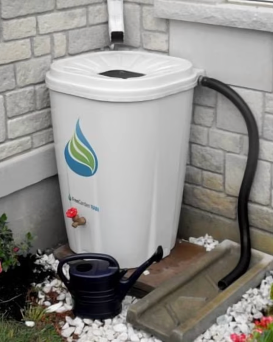 Tong hujan menampung air, dihubungkan dengan selokan. Kaleng penyiram di dekatnya. Ideal untuk solusi berkebun ramah lingkungan