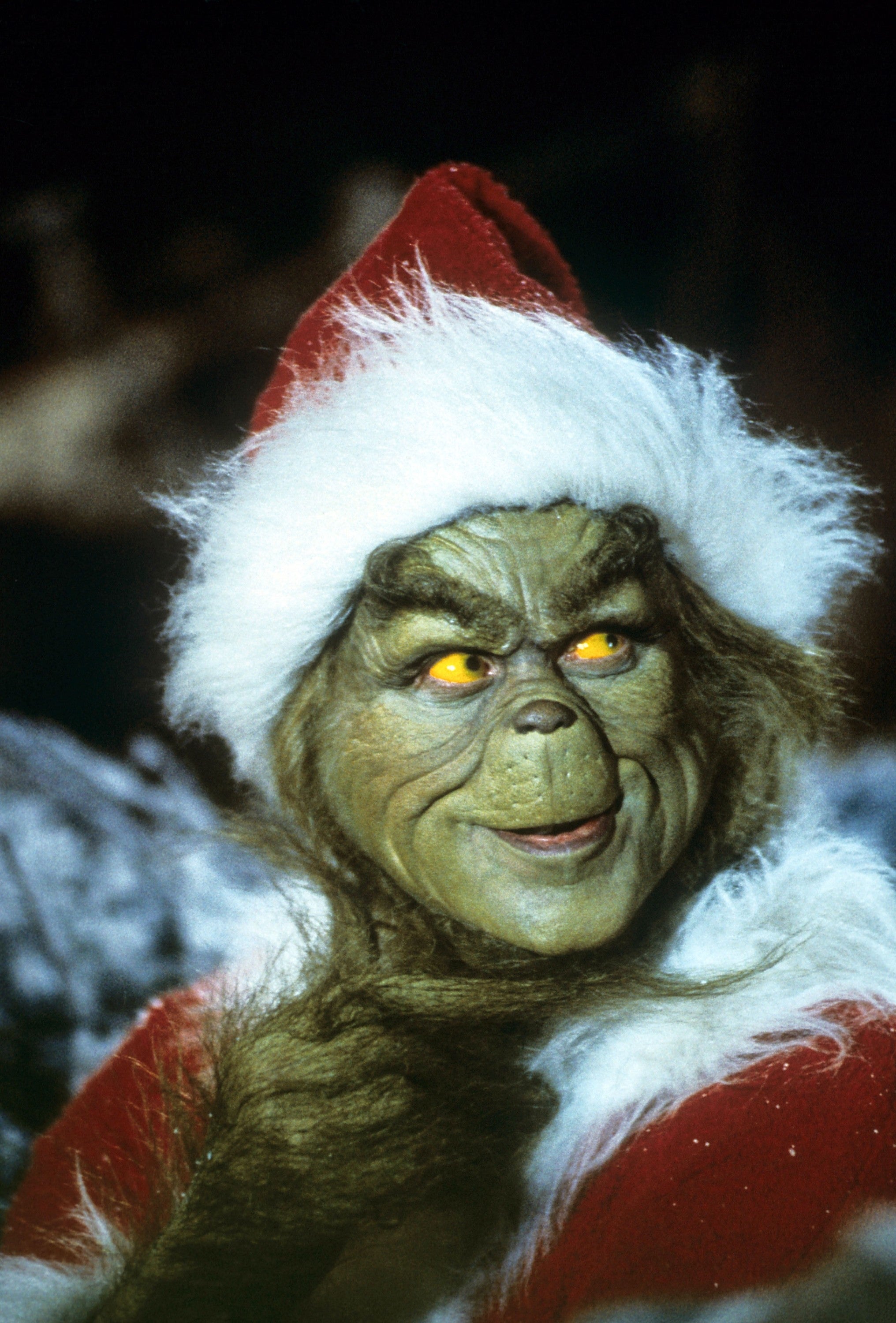 The Grinch successful  a Santa outfit, smirking with a mischievous expression, from the classical  vacation  movie