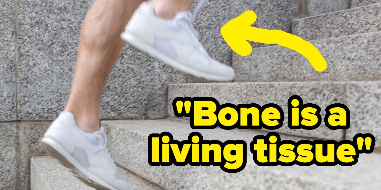 The Best Way To Improve Bone Density
