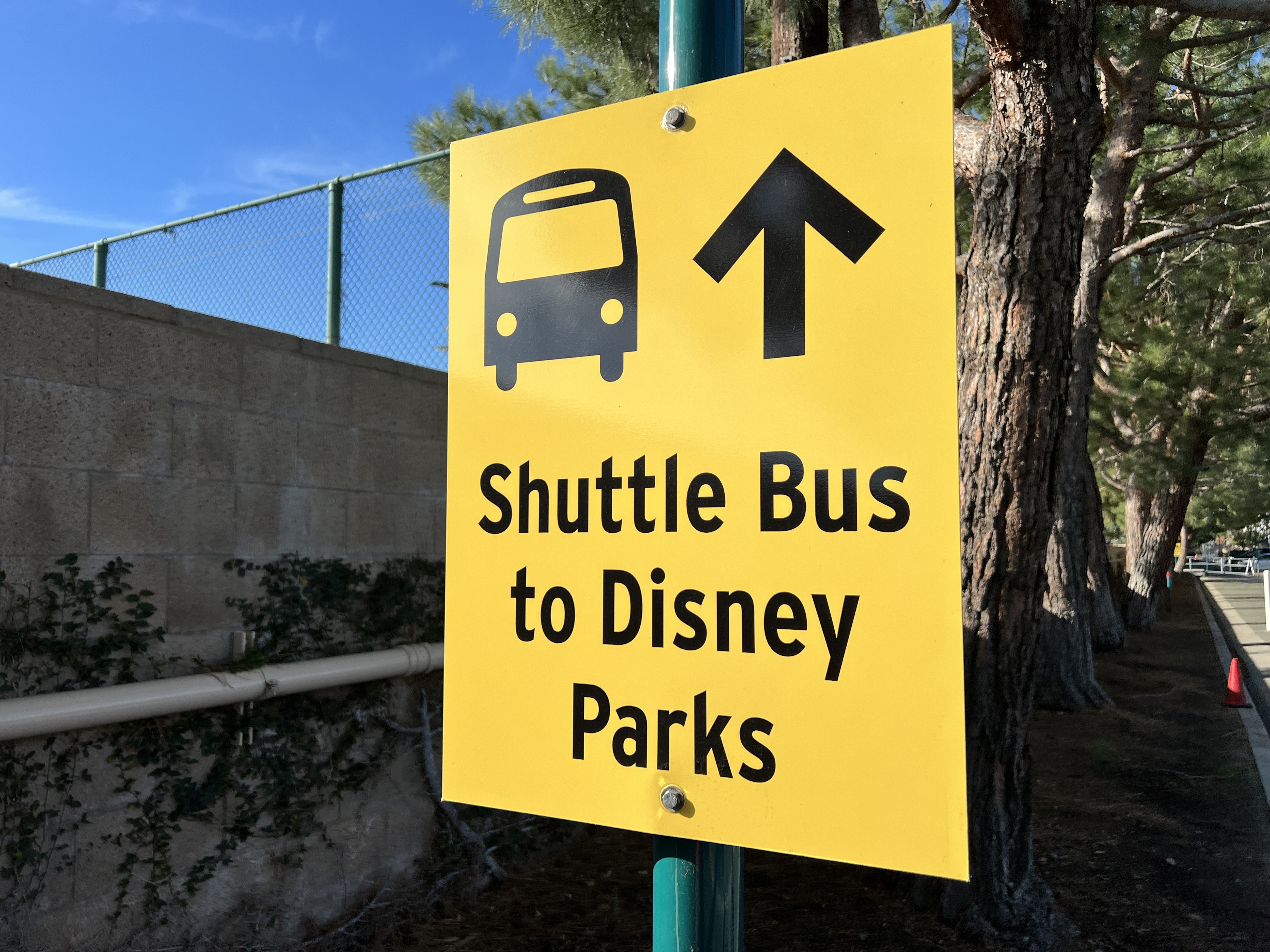 Sign indicating shuttle autobus to Disney Parks with a autobus icon and an upward arrow. Trees successful the background