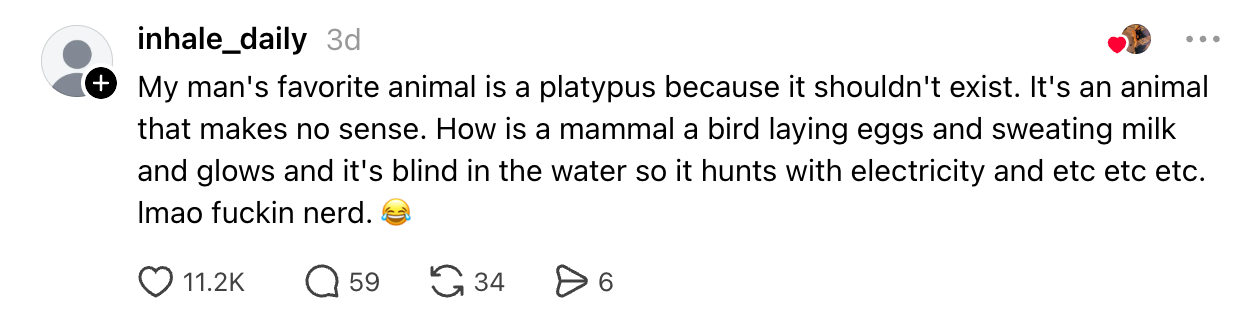 Comment astir the platypus being an illogical animal, listing its unsocial traits specified arsenic egg-laying and hunting with electricity