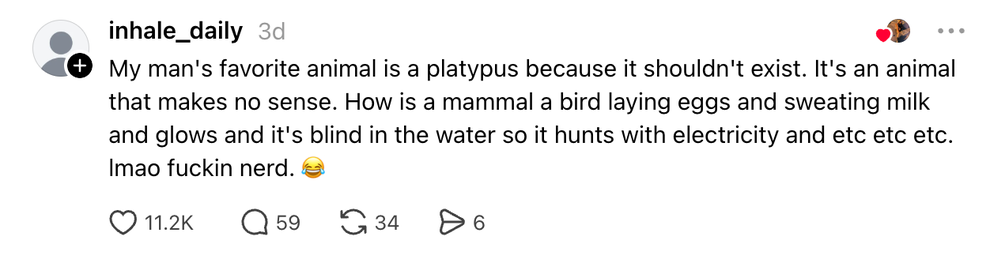 Comment about the platypus being an illogical animal, listing its unique traits such as egg-laying and hunting with electricity