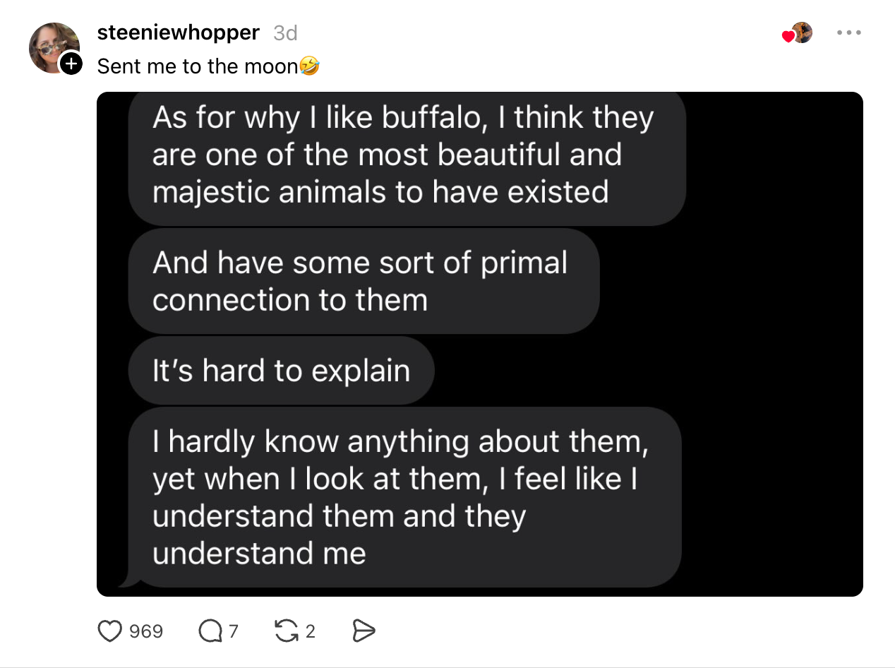 Text speech astir the person's admiration and transportation to buffalo, describing them arsenic beautiful, majestic, and feeling a communal understanding