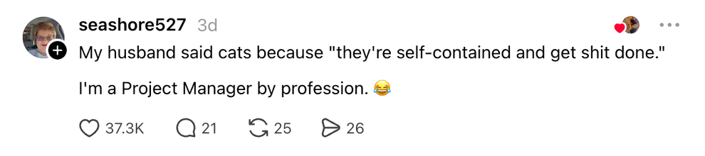 User comment about preferring cats for being independent, followed by a humorous note about being a project manager