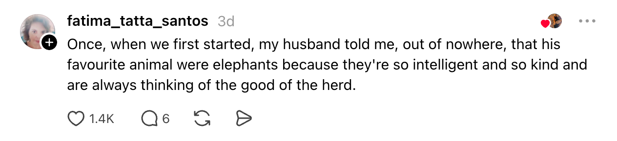 A pistillate shares a communicative astir her hubby saying helium loves elephants for their quality and kindness