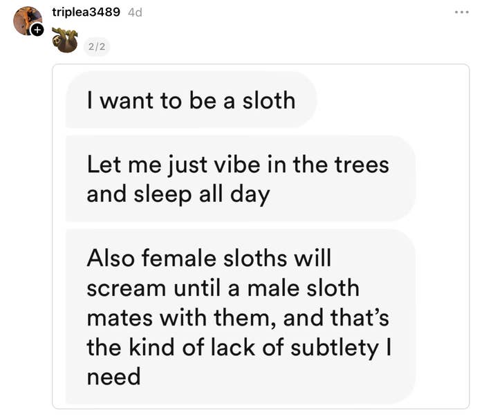 Text speech  astir  wanting to beryllium  a sloth, appreciating their relaxed nature, and humorously noting pistillate  sloths' nonstop  attack  to mating