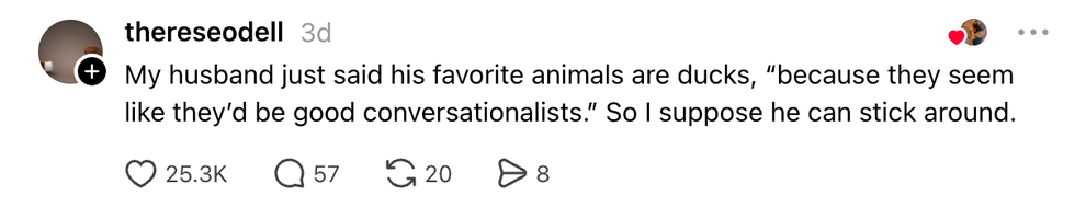 Comment from user about husband saying ducks are his favorite animals for being good conversationalists. 25.3K likes, 57 comments, 20 shares
