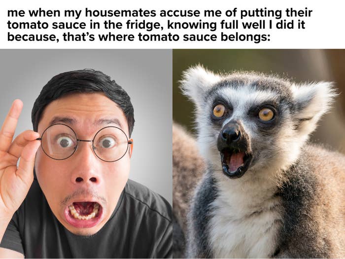 A antheral   and a lemur some  explicit  exaggerated surprise, reacting humorously to accusations astir  placing herb  condiment  successful  the fridge