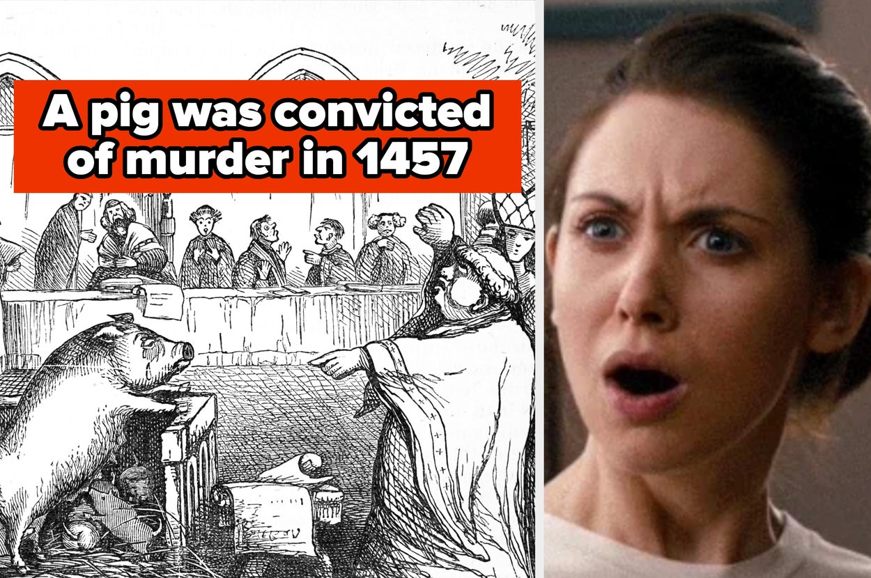 21 Historical Facts That Sound Fake But Are Actually Real