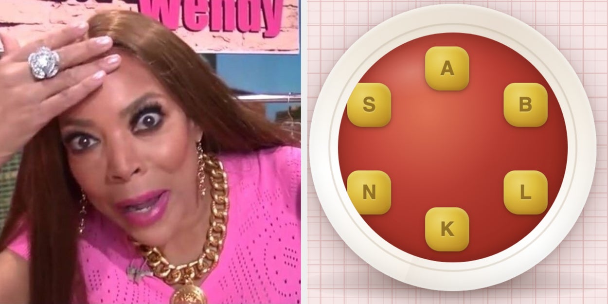 Medium Level The Soup Of The Day Daily Word Puzzle 52
